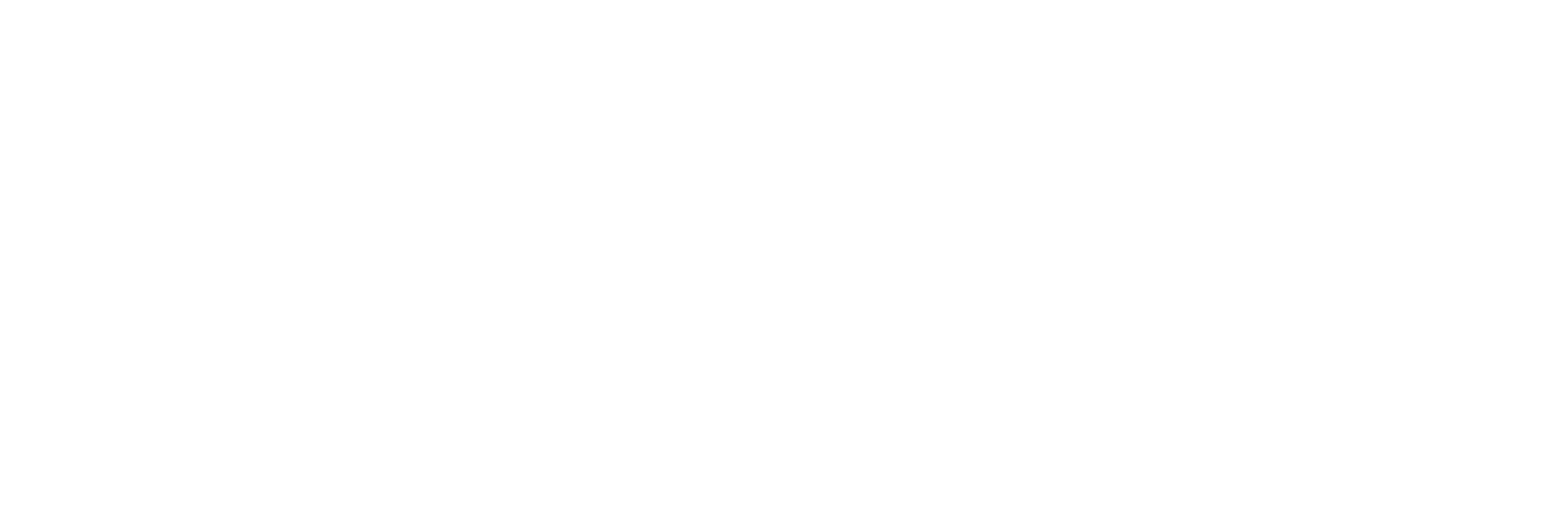 SSSN Logo